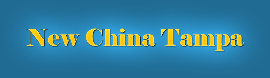 Logo-newchinatampa